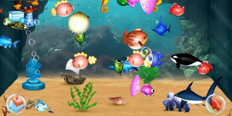 Lợi ích của nắm rõ chiến thuật săn cá