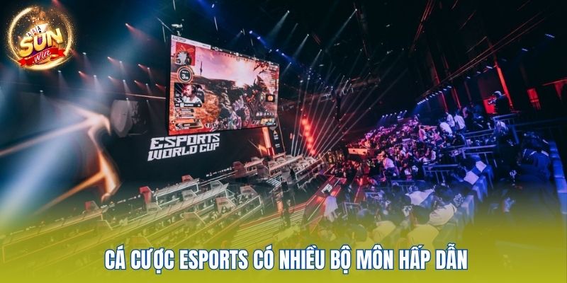 Cá Cược Esports Sunwin - Sân Chơi Đỉnh Cao Cho Game Thủ 2 Cá cược Esports có nhiều bộ môn hấp dẫn